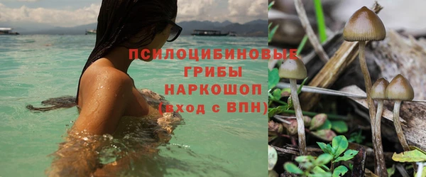 марихуана Михайловка