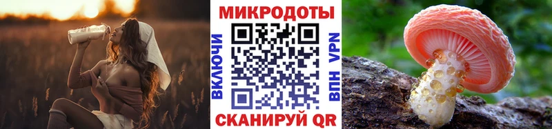 Псилоцибиновые грибы мухоморы  Купить закладки  Кинешма 