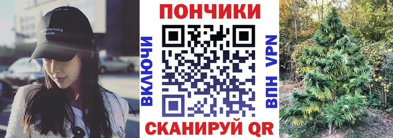 Каннабис семена  Купить закладки  Кинешма 